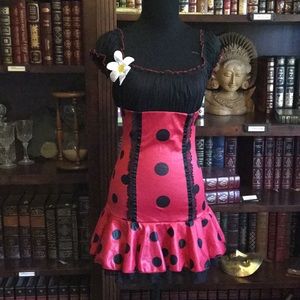 Lady Bug Costume